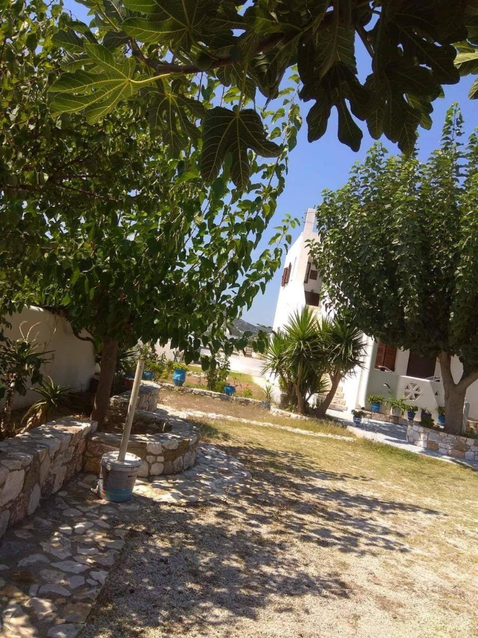 Athena'S Houses Skyros Buitenkant foto