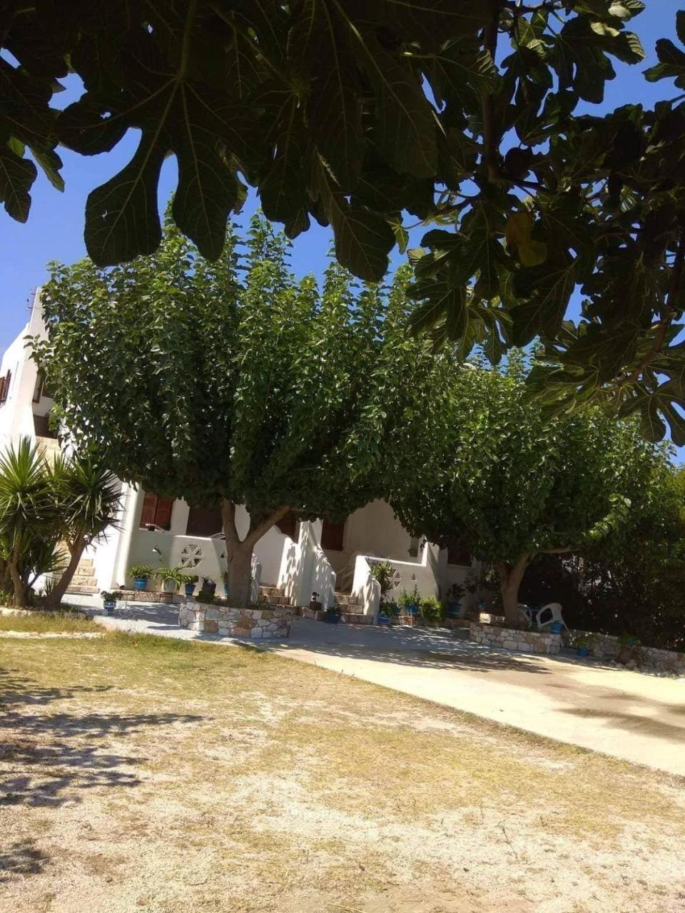 Athena'S Houses Skyros Buitenkant foto